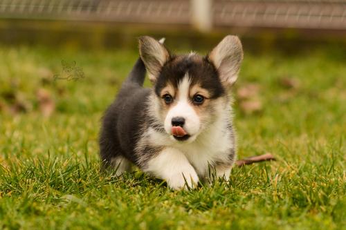 27160304 a51efe16053e14f331ed898cbed95e6f xl