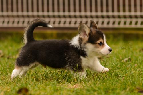 27160306 02c89380820b2f0086264d61bcd75da8 xl