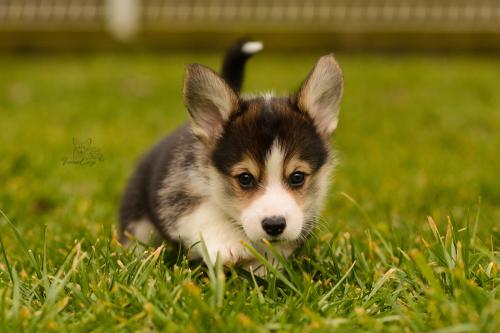 27160310 63c667f9664f9b4ab433fb1881b77d9c xl