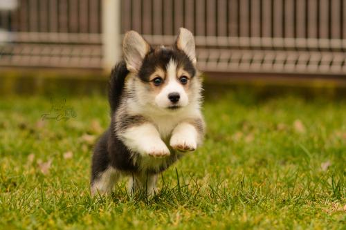 27160312 ef7346c89777ce33a96da25ce8435c4d xl