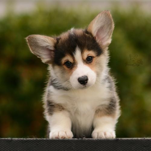 27162512 bd977b748a87e62f1f5eda459d60de10 xl