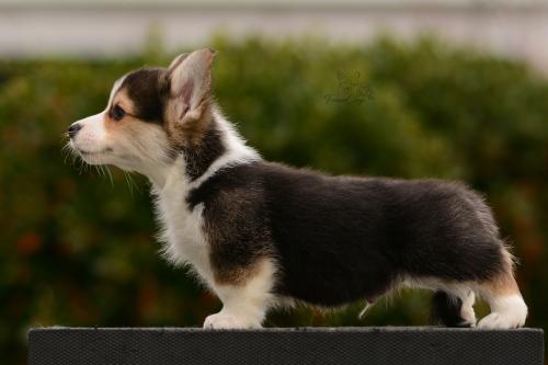 27162514 9dd95a859fc996582aaec3380b2cc072 xl