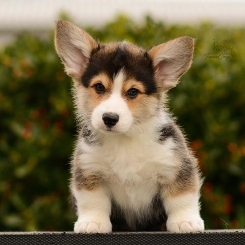 27165494 f8492453ca94c70bebc90a3d44d1315a xl