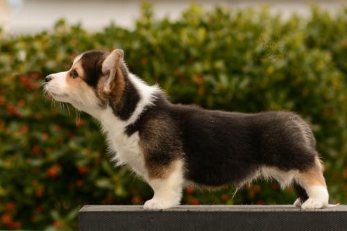 27165496 8bcd8eeec768a9e35c47f48770c760cb xl