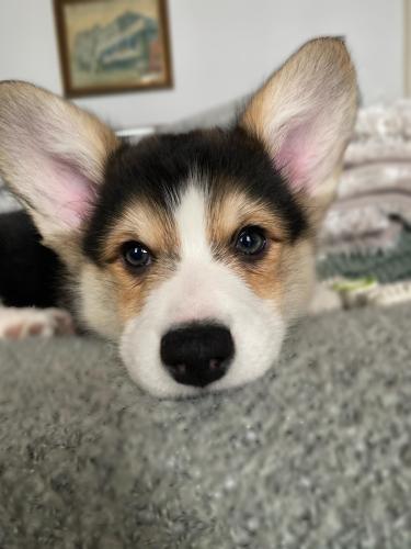 27167300 8567af1396056c4377a82d8eb4db9df3 xl