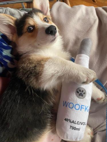 27176362 dc45e9e2a5dc14b7ed527fade8dafe04 xl