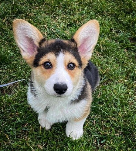 27176546 73d7c00e23516a708662332e127c7104 xl