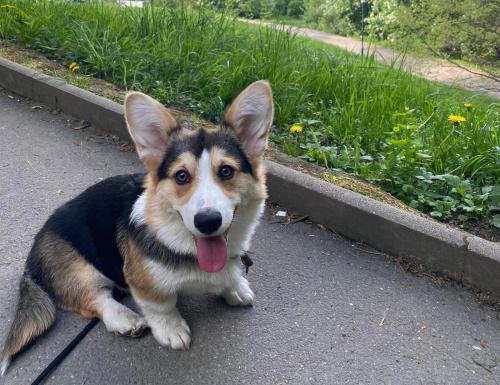 27191860 b09cb9e7b8e3dbb83c5f11895b26a4b5 xl