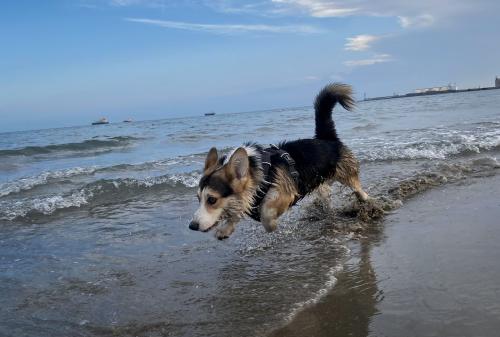 27225218 93d863a852bec4f3c6391baa87d2b93c xl