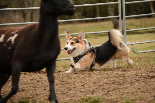 27252286 df8dfbdcc85628b3411ba043d91e3323 xl