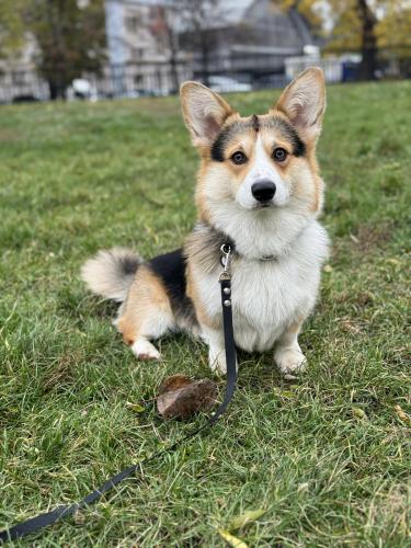 27253872 79c1d6a67db323e8d17173f8d55bfdd9 xl