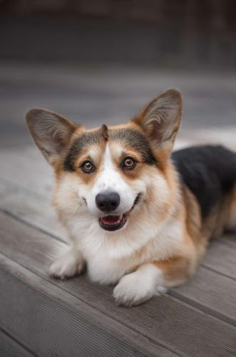 458260701 511055478222639 3800383898467912505 n