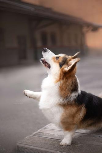 458725722 405118266024448 1393686788367896903 n