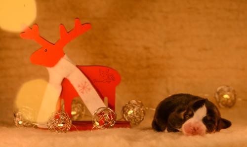 27145644 18b4c72bde66a6548e80c95ec00e7278 xl