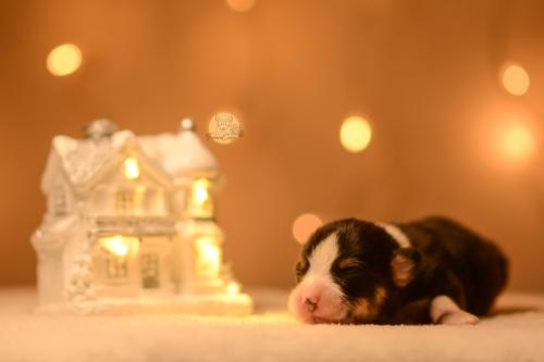 27146860 f1acb7308e7d8082ffe72f3846ccc91d xl