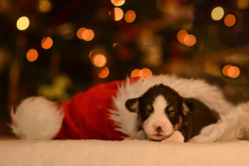 27147688 957d1b7c156bfce26373bdfd6a7c6fbf xl