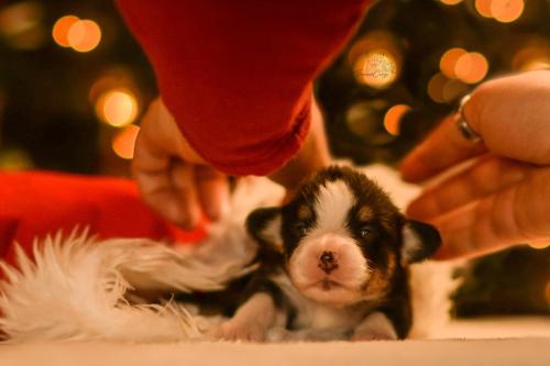 27147998 13a8a11daef7c72fc2bcf7c4c4ea6f49 xl