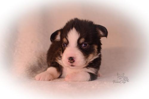 27155480 ecb582e1658d075bc3a457e9d3e7f500 xl