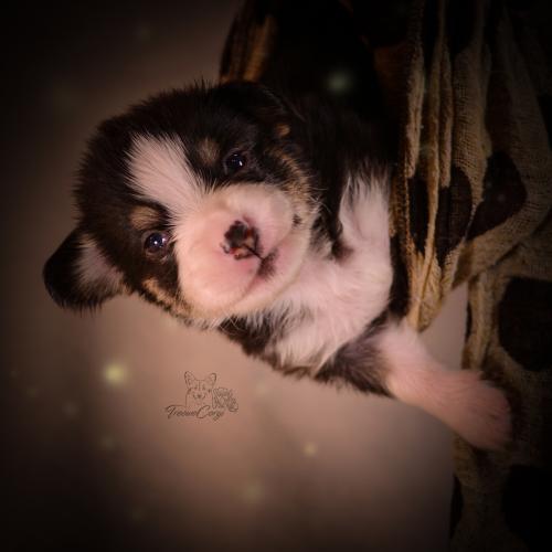 27155482 bfc70a7ca81a1f1f9cce692720ccdec5 xl