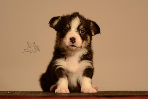 27155508 3a4f3a5b1c3c7765274adbf1ce520fb7 xl