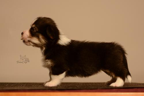 27155510 1d7b97b3bcbfa7041bc73254df9902f6 xl