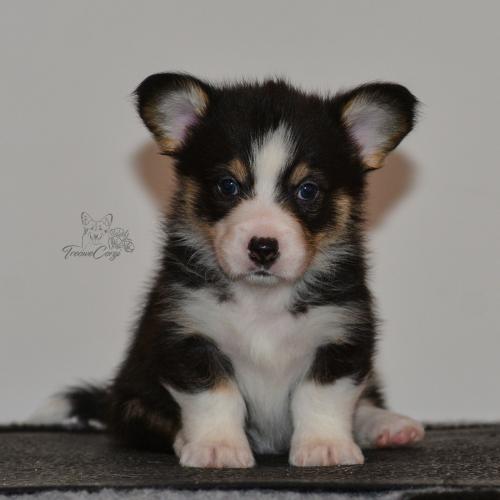 27160096 c04f8e378a852fd24ae76ebd87fcc9be xl