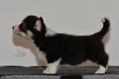 27160100 43ccd719eb550dd23d4a2d7c1116c718 xl