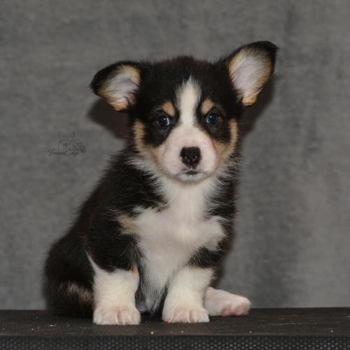 27160262 8d389262e206f34afe206606524d97ae xl