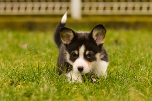 27160292 9ee4b05c96e2466eae5aab5c637309d1 xl