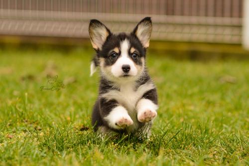 27160296 6e57d4653f129c3ff37f85bbe8a16f24 xl