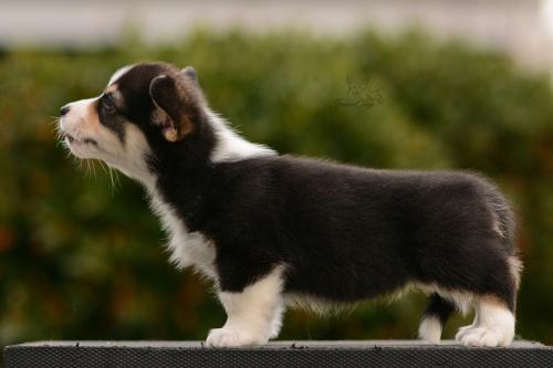 27162520 c282d476f39c6d5d557d3996b6e3fd20 xl