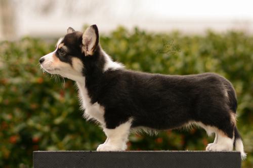 27167276 93f45cdb501e51a70d142f64aa61b891 xl