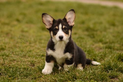 27171618 6b6e55caf10d2a545940c97b99eed879 xl