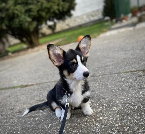 27176352 91c96bcd52c13e5fad79826756211517 xl