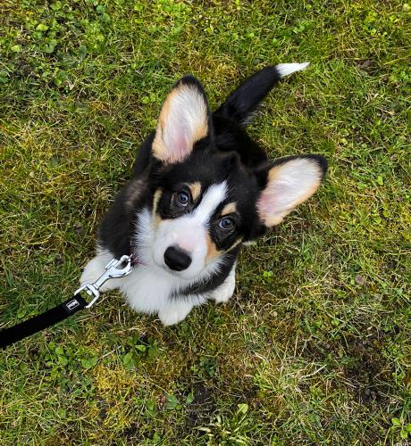 27176354 b1448ef99570e080a2b8dbc1e3842cce xl