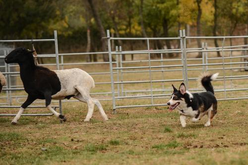 27252274 a9f514b23d42e5f840e0bdb2d87c4a0a xl