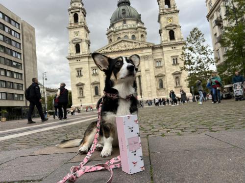 27252278 15d0ac752c8226f57fbe4acebeaea576 xl