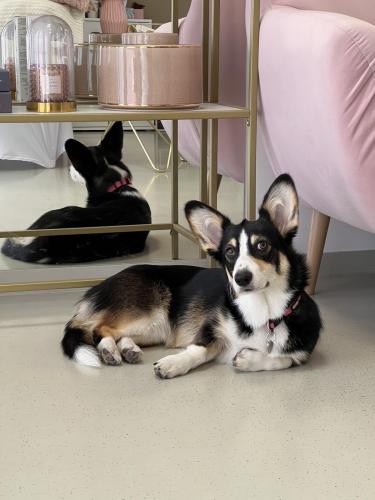 27252280 d7f2cf391762165488dcb817cff5b431 xl