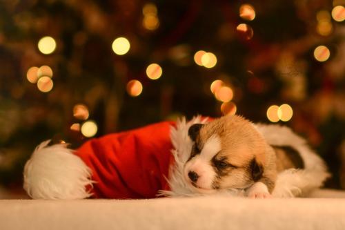 27147986 4c3b255eea1977c76fca647f4fdce64d xl