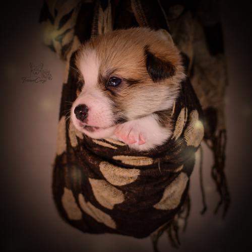 27155260 77437c3f6013e6dd2d3e22e9b3804da1 xl