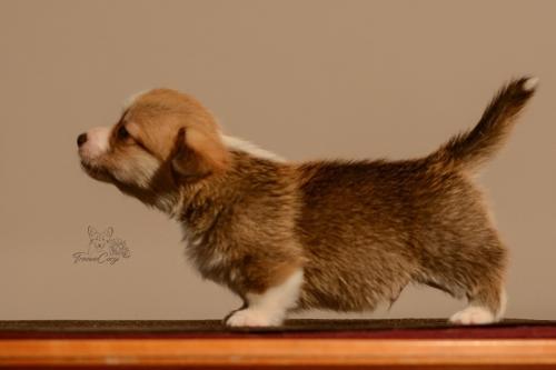 27155490 9a46bc817258d4b7c3ec5d940ec076bb xl