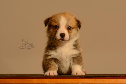 27155494 d57fe8e376d43bbde02fbfff430f8d5b xl