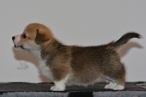 27159940 d5ef185ab709eaa3ee09213655e1e6f9 xl