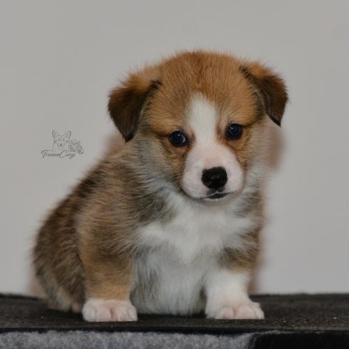 27159944 70800eb729a0e40e6ab0d25ff01c3a7d xl