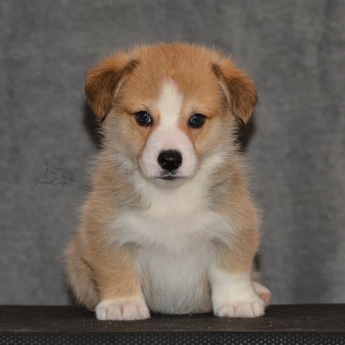 27160144 528d2ae2e8b422334e39657190129525 xl