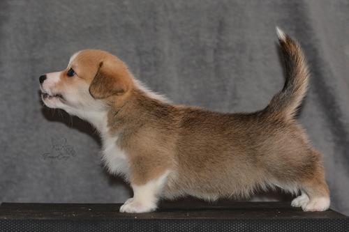 27160146 1676f78d8aef1543cc9ae288fa5ebd8f xl