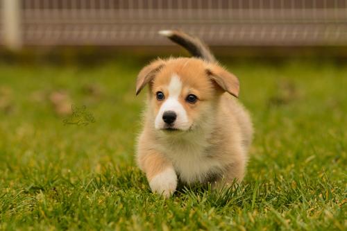 27160280 f01e3742908a209dafbb7718b3d687de xl