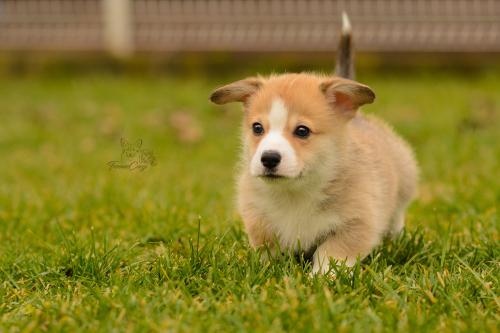 27160282 0d8b6f49dd655e4e59698d7414a2f931 xl