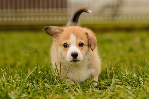 27160322 976e5f0d78832caa93faac13946ec545 xl