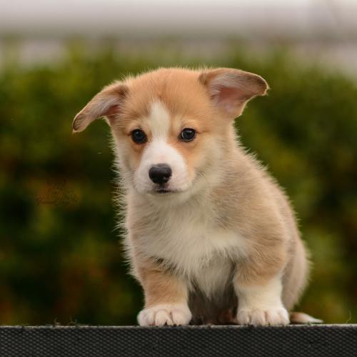 27162504 5761f91d9990e2788a2b58bafadd8826 xl